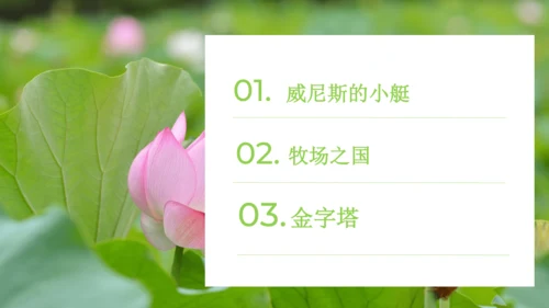 统编版语文五年级下册第七单元（课件）