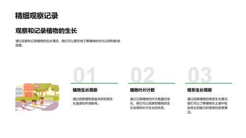 植物生长秘籍PPT模板