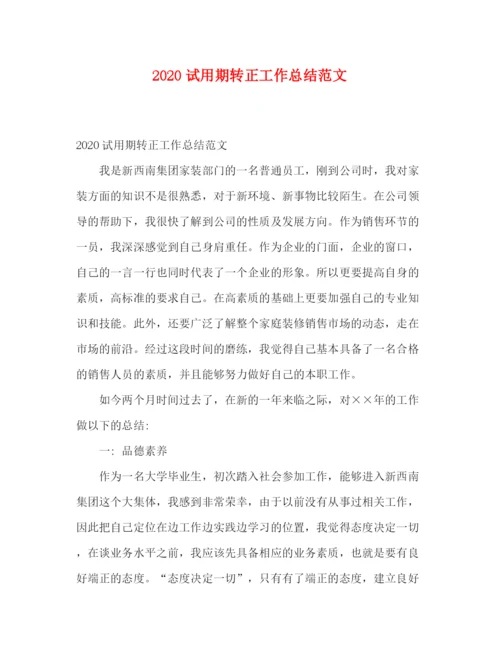 精编之试用期转正工作总结范文.docx