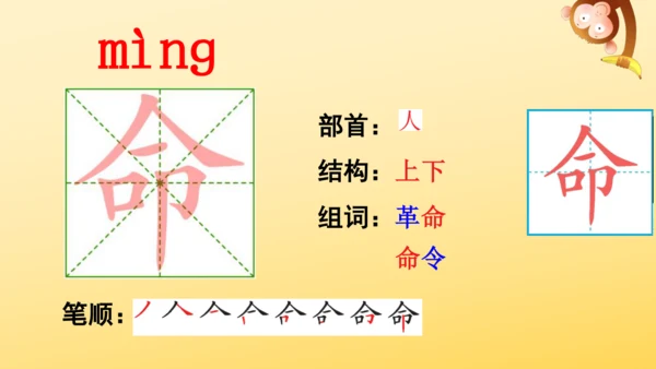 10 在牛肚子里旅行    课件