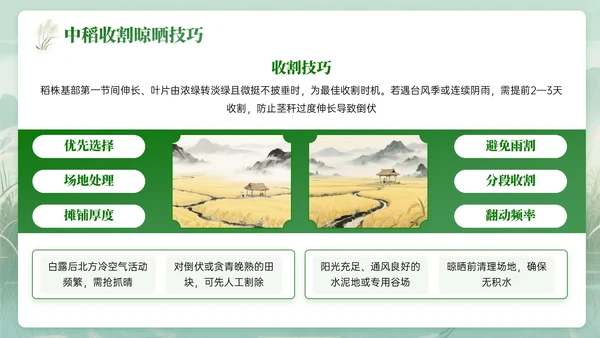 绿色中国风白露节气知识PPT模板