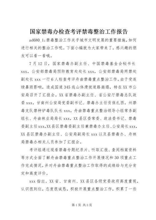 国家禁毒办检查考评禁毒整治工作报告.docx