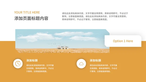 黄色简约风社会实践报告PPT模板