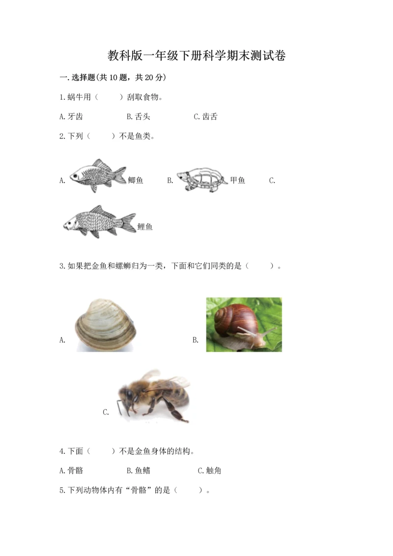 教科版一年级下册科学期末测试卷（综合题）.docx