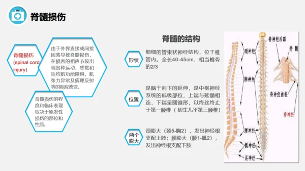 脊髓损伤术后护理查房通用PPT模板