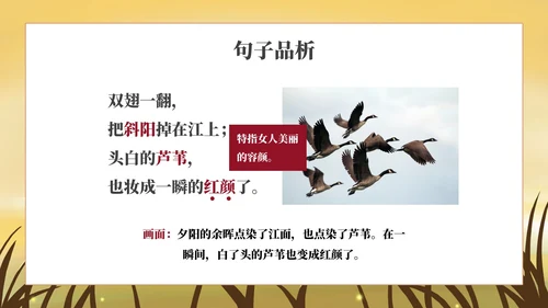 部编版四年级上册《秋晚的江上》