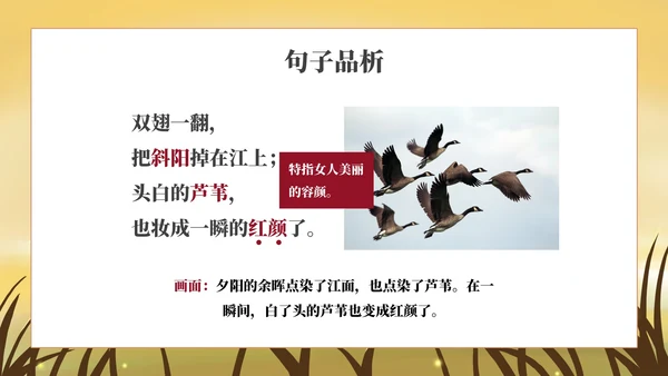 部编版四年级上册《秋晚的江上》