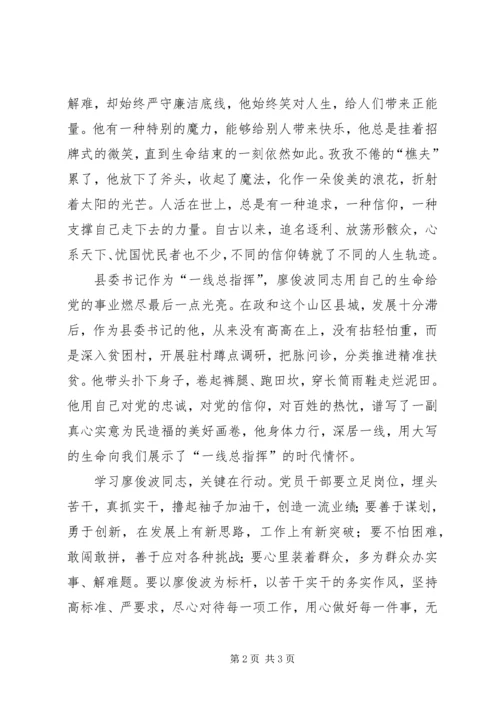 学习廖俊波同志心得体会 (3).docx