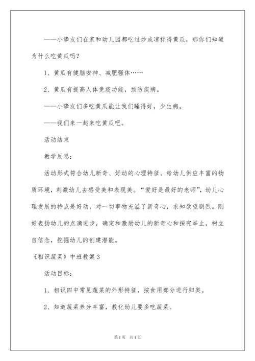 2022《认识蔬菜》中班教案.docx