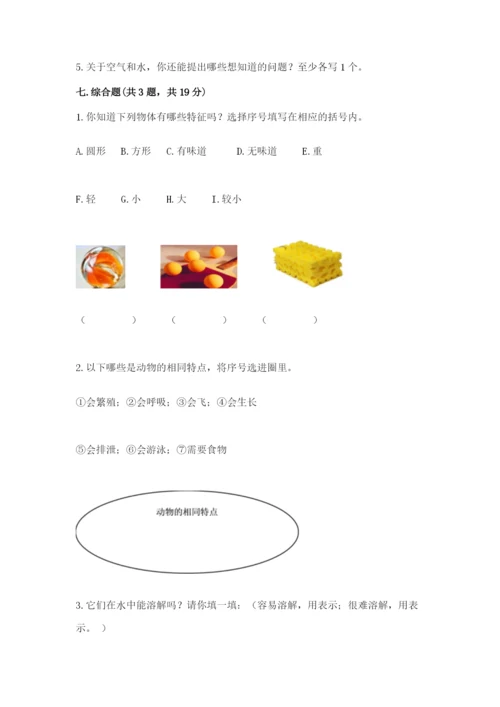教科版一年级下册科学期末测试卷及参考答案【综合卷】.docx