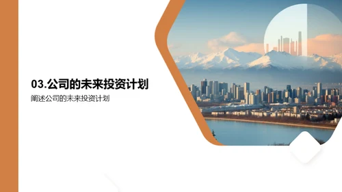 财务投资全景解析