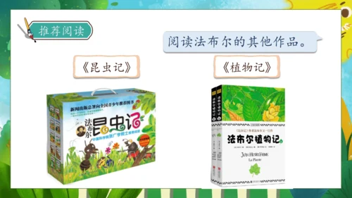 【核心素养】部编版语文三年级下册-14. 蜜蜂 第2课时（课件）
