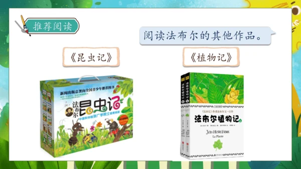【核心素养】部编版语文三年级下册-14. 蜜蜂 第2课时（课件）