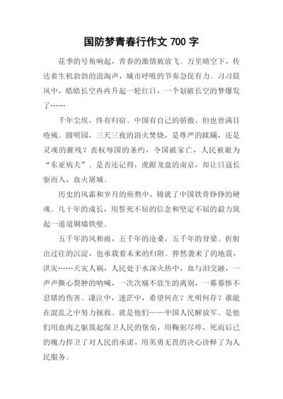 国防梦青春行作文700字.docx