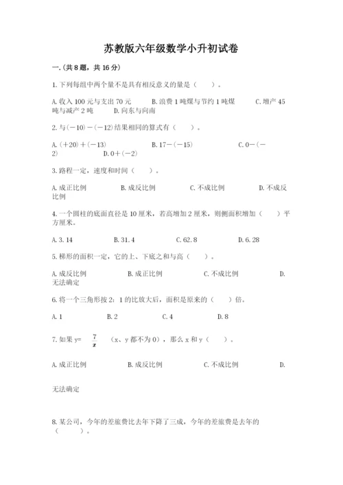 苏教版六年级数学小升初试卷（考点精练）.docx