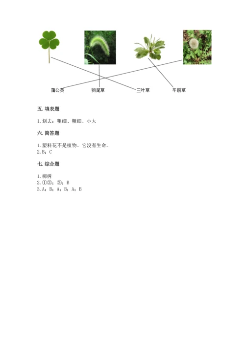 教科版科学一年级上册第一单元《植物》测试卷精品【考试直接用】.docx