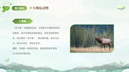 绿色清新剪纸风保护濒危动物拯救美好生命主题PPT世界动物日