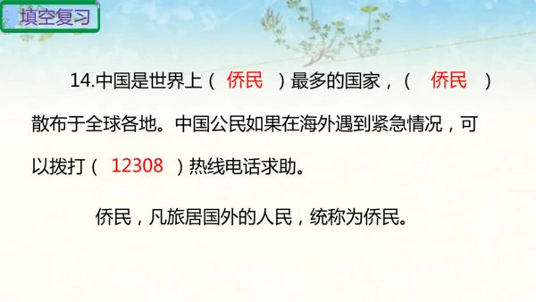 六年级上册道德与法治第二单元我们是公民复习课件
