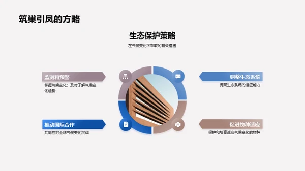 大寒节气与生态保护