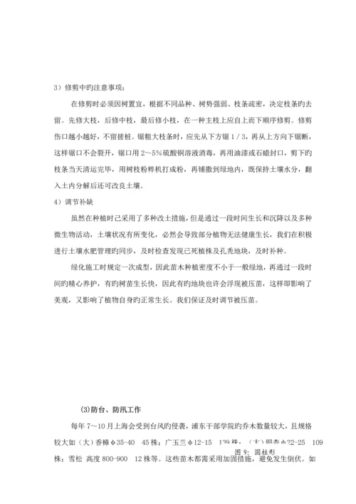 关键工程养护专题方案.docx