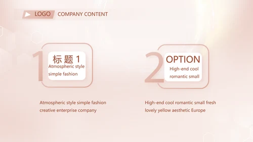 轻奢女神微整形医院介绍工作总结PPT