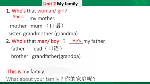 期中复习