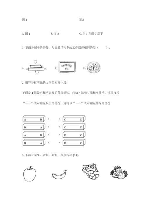 教科版小学科学二年级下册期末测试卷（夺冠）.docx