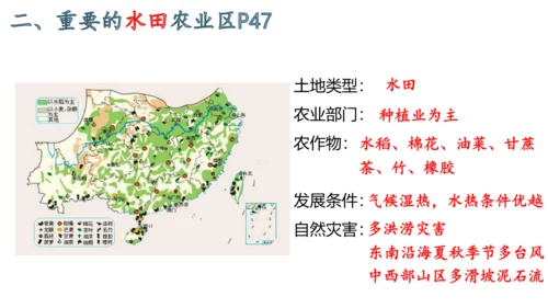 八下：南方地区、长江三角洲（一轮复习课件27张）（人教版）
