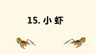 第15课《小虾》（教学课件）