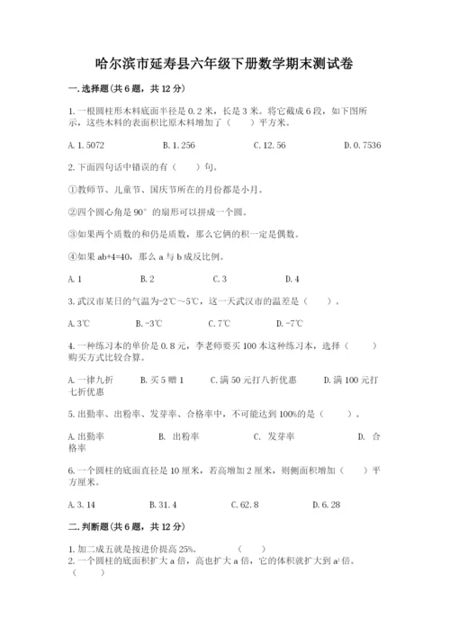 哈尔滨市延寿县六年级下册数学期末测试卷最新.docx