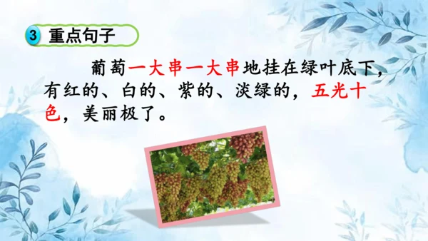 部编版语文二年级上册第四单元复习课件