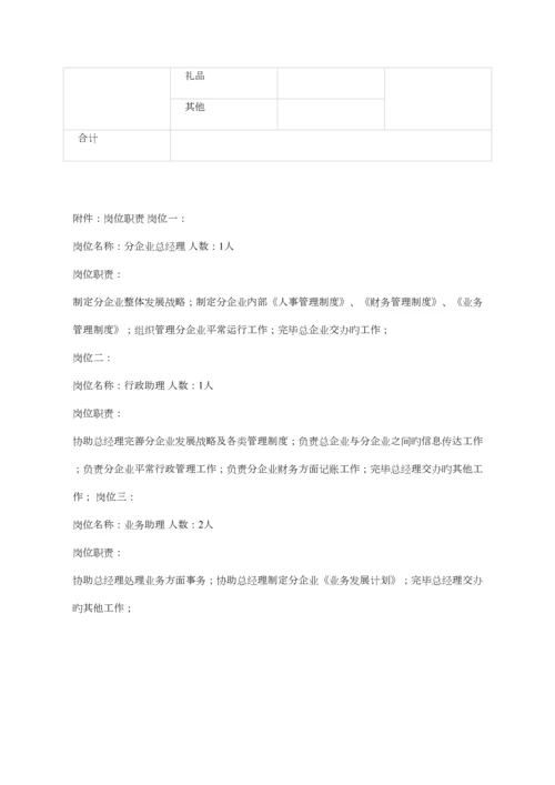 公司筹建方案.docx