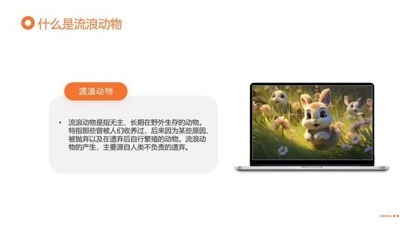 关爱流浪动物，流浪猫PPT模版