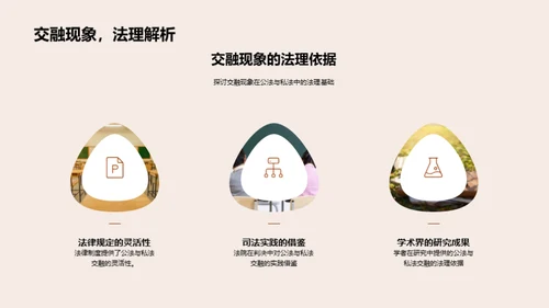 公私法交融透析
