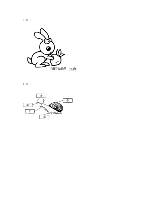 教科版一年级下册科学期末测试卷（考点梳理）.docx