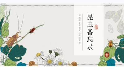 4昆虫备忘录   课件