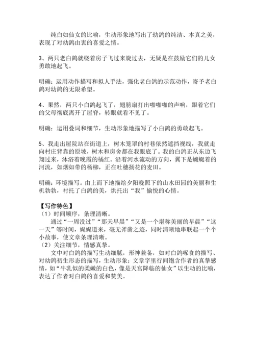 第18课《我的白鸽》教学设计