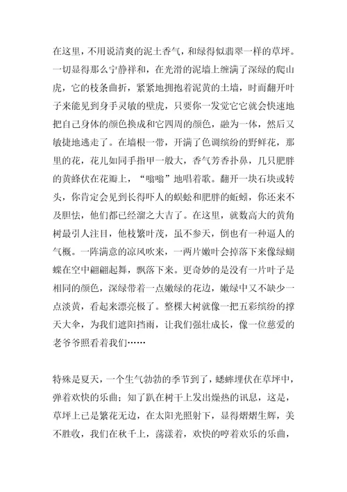2022年我的乐园作文800字
