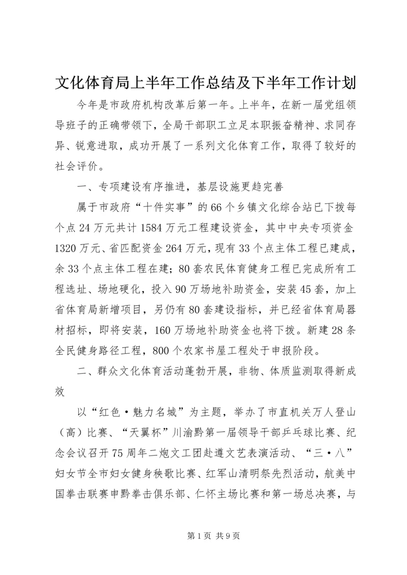 文化体育局上半年工作总结及下半年工作计划.docx