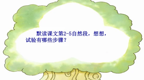 14《蜜蜂》课件