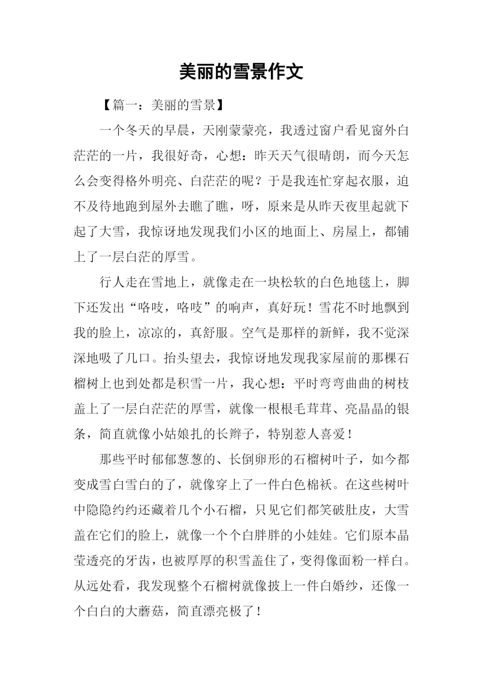 美丽的雪景作文.docx