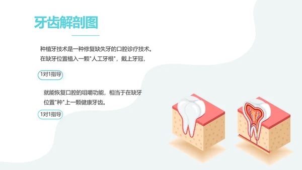 蓝色简约医疗牙科工作总结汇报PPT