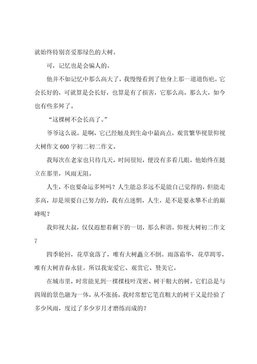 仰望大树初二作文
