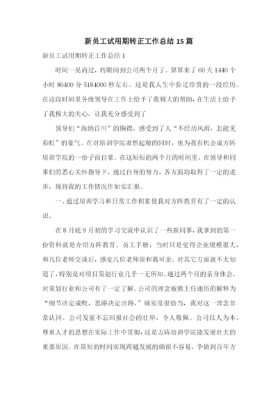 新员工试用期转正工作总结15篇.docx