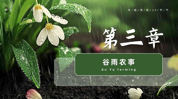 绿色系传统文化二十四节气谷雨主题PPT模板
