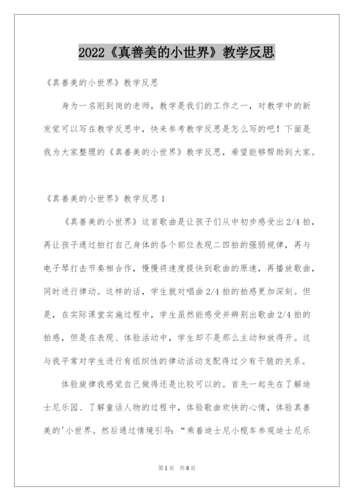 2022《真善美的小世界》教学反思.docx