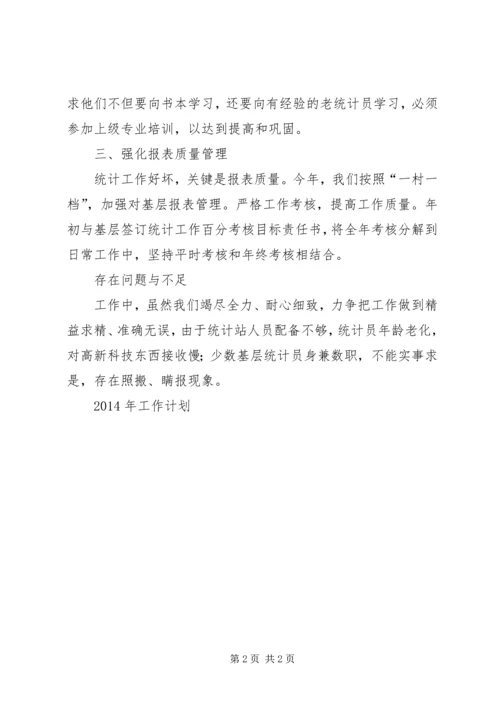 统计工作站年终工作总结暨工作计划 (2).docx