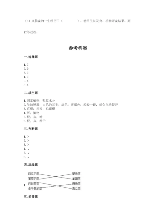 科学四年级下册第一单元植物的生长变化测试卷（研优卷）.docx