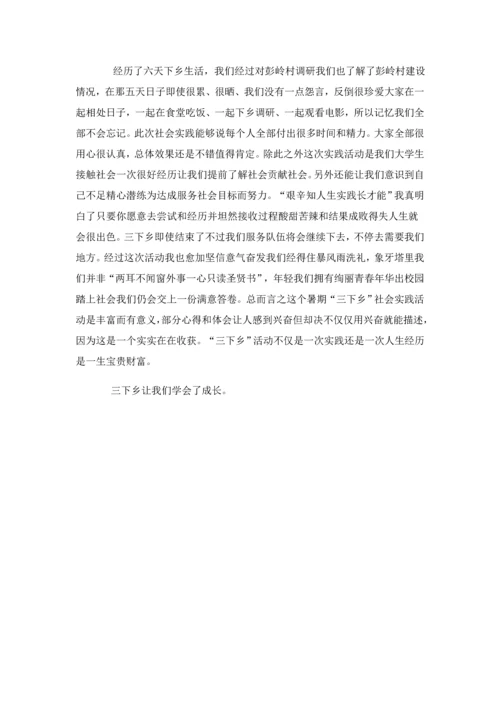 暑期三下乡调研分析报告.docx