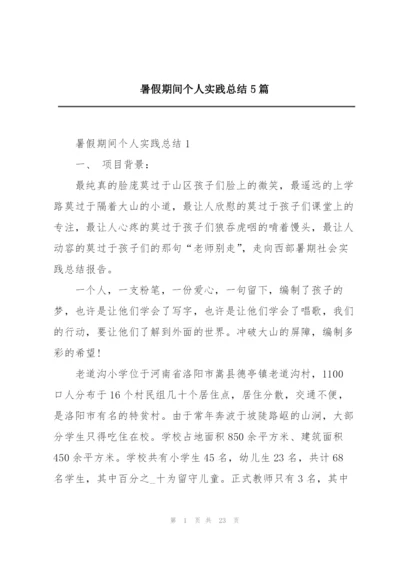 暑假期间个人实践总结5篇.docx